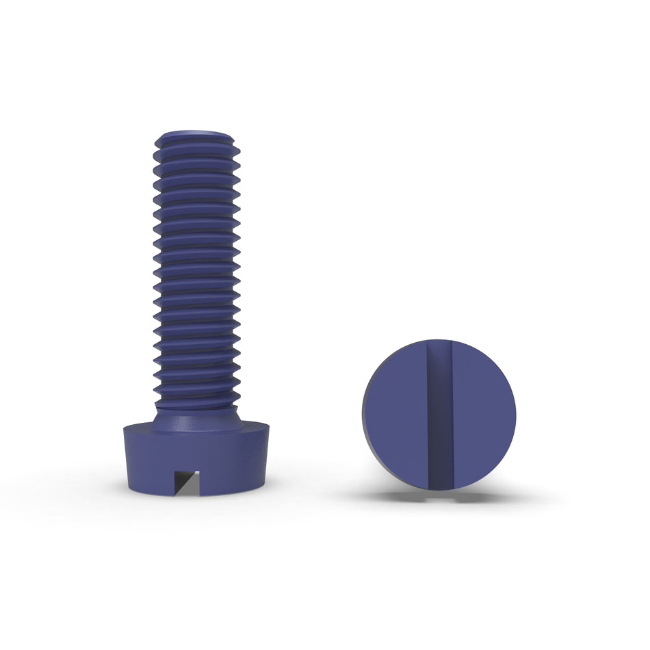 Vis à tête cylindrique fendue en acier inoxydable avec revêtement PTFE - DIN 84