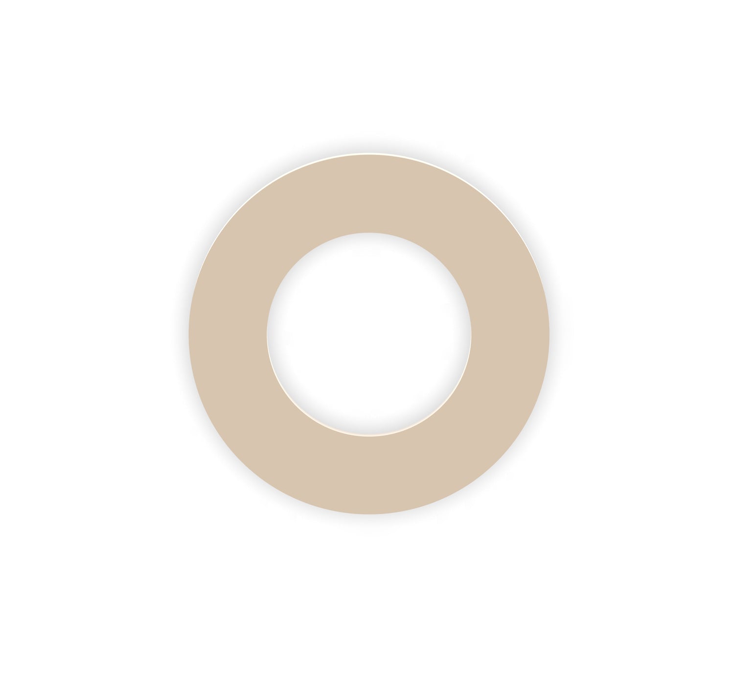 Polyphenylene Sulphide (PPS) Custom Manufactured Washers