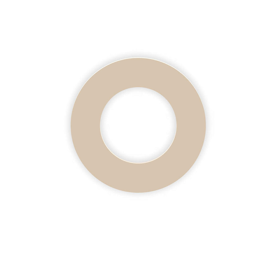 Polyphenylene Sulphide (PPS) Custom Manufactured Washers